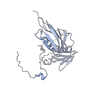 15577_8apo_Ae_v2-0
Structure of the mitochondrial ribosome from Polytomella magna with tRNAs bound to the A and P sites