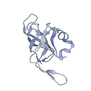 15577_8apo_Ai_v1-1
Structure of the mitochondrial ribosome from Polytomella magna with tRNAs bound to the A and P sites