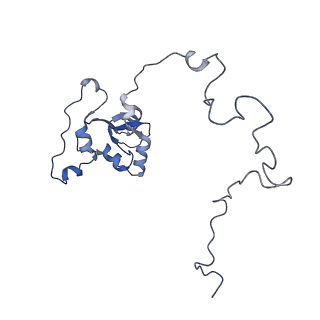 15577_8apo_Aj_v1-1
Structure of the mitochondrial ribosome from Polytomella magna with tRNAs bound to the A and P sites