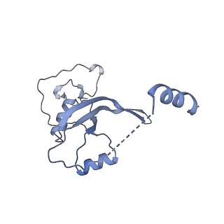 15577_8apo_Ar_v1-1
Structure of the mitochondrial ribosome from Polytomella magna with tRNAs bound to the A and P sites