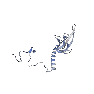 15577_8apo_Au_v1-1
Structure of the mitochondrial ribosome from Polytomella magna with tRNAs bound to the A and P sites