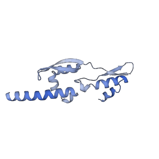 15577_8apo_Av_v1-1
Structure of the mitochondrial ribosome from Polytomella magna with tRNAs bound to the A and P sites