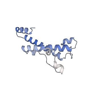15577_8apo_Aw_v1-1
Structure of the mitochondrial ribosome from Polytomella magna with tRNAs bound to the A and P sites