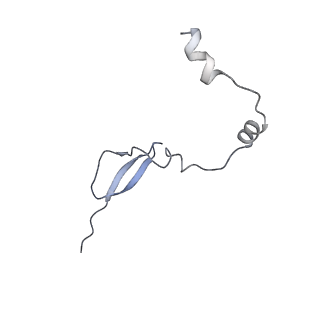 15577_8apo_Ay_v2-0
Structure of the mitochondrial ribosome from Polytomella magna with tRNAs bound to the A and P sites