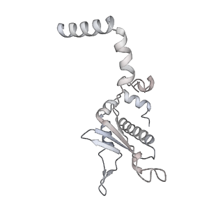 15577_8apo_BA_v1-1
Structure of the mitochondrial ribosome from Polytomella magna with tRNAs bound to the A and P sites
