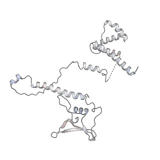 15577_8apo_BD_v1-1
Structure of the mitochondrial ribosome from Polytomella magna with tRNAs bound to the A and P sites