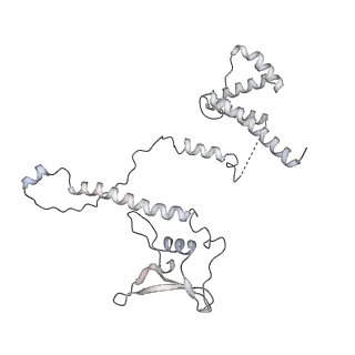 15577_8apo_BD_v2-0
Structure of the mitochondrial ribosome from Polytomella magna with tRNAs bound to the A and P sites