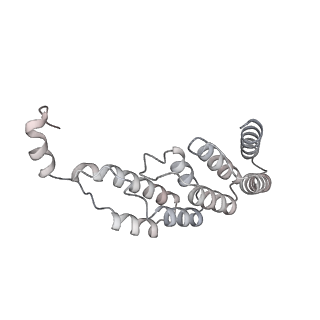 15577_8apo_BE_v1-1
Structure of the mitochondrial ribosome from Polytomella magna with tRNAs bound to the A and P sites