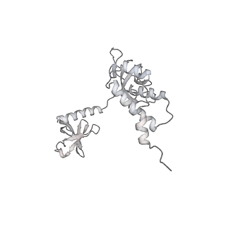 15577_8apo_Ba_v1-1
Structure of the mitochondrial ribosome from Polytomella magna with tRNAs bound to the A and P sites