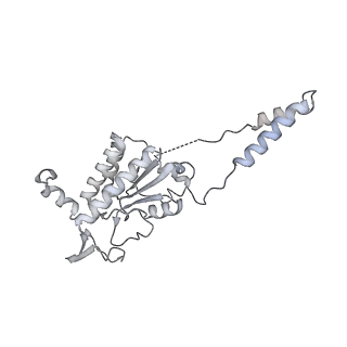 15577_8apo_Bb_v1-1
Structure of the mitochondrial ribosome from Polytomella magna with tRNAs bound to the A and P sites