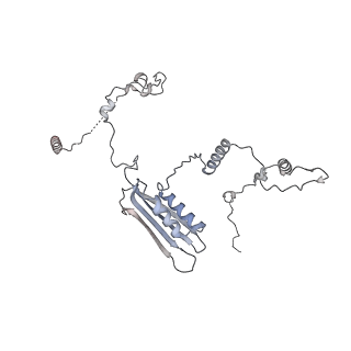 15577_8apo_Bc_v1-1
Structure of the mitochondrial ribosome from Polytomella magna with tRNAs bound to the A and P sites