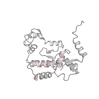 15577_8apo_Bd_v1-1
Structure of the mitochondrial ribosome from Polytomella magna with tRNAs bound to the A and P sites