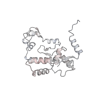 15577_8apo_Bd_v2-0
Structure of the mitochondrial ribosome from Polytomella magna with tRNAs bound to the A and P sites