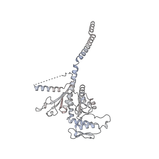 15577_8apo_Bh_v1-1
Structure of the mitochondrial ribosome from Polytomella magna with tRNAs bound to the A and P sites
