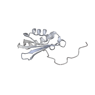 15577_8apo_Bk_v1-1
Structure of the mitochondrial ribosome from Polytomella magna with tRNAs bound to the A and P sites
