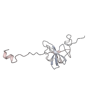 15577_8apo_Bl_v1-1
Structure of the mitochondrial ribosome from Polytomella magna with tRNAs bound to the A and P sites