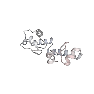 15577_8apo_Bm_v1-1
Structure of the mitochondrial ribosome from Polytomella magna with tRNAs bound to the A and P sites