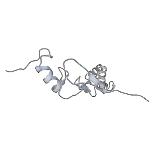 15577_8apo_Bn_v1-1
Structure of the mitochondrial ribosome from Polytomella magna with tRNAs bound to the A and P sites