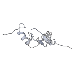 15577_8apo_Bn_v2-0
Structure of the mitochondrial ribosome from Polytomella magna with tRNAs bound to the A and P sites