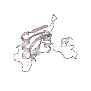 15577_8apo_Bp_v1-1
Structure of the mitochondrial ribosome from Polytomella magna with tRNAs bound to the A and P sites