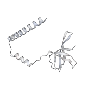 15577_8apo_Bq_v1-1
Structure of the mitochondrial ribosome from Polytomella magna with tRNAs bound to the A and P sites