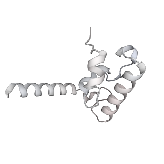 15577_8apo_Br_v1-1
Structure of the mitochondrial ribosome from Polytomella magna with tRNAs bound to the A and P sites