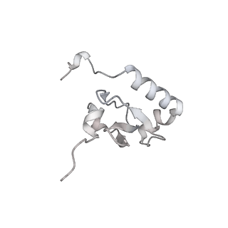 15577_8apo_Bs_v1-1
Structure of the mitochondrial ribosome from Polytomella magna with tRNAs bound to the A and P sites