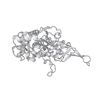 15577_8apo_Bw_v1-1
Structure of the mitochondrial ribosome from Polytomella magna with tRNAs bound to the A and P sites