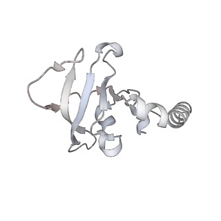 15577_8apo_Bz_v2-0
Structure of the mitochondrial ribosome from Polytomella magna with tRNAs bound to the A and P sites