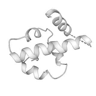 15577_8apo_Uf_v1-1
Structure of the mitochondrial ribosome from Polytomella magna with tRNAs bound to the A and P sites