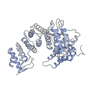 15577_8apo_Xe_v1-1
Structure of the mitochondrial ribosome from Polytomella magna with tRNAs bound to the A and P sites