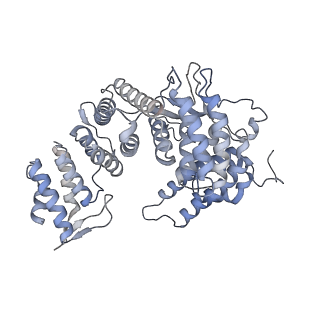 15577_8apo_Xe_v2-0
Structure of the mitochondrial ribosome from Polytomella magna with tRNAs bound to the A and P sites