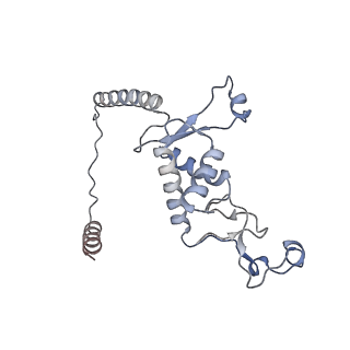 15577_8apo_Xf_v1-1
Structure of the mitochondrial ribosome from Polytomella magna with tRNAs bound to the A and P sites