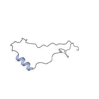 15577_8apo_Xj_v1-1
Structure of the mitochondrial ribosome from Polytomella magna with tRNAs bound to the A and P sites