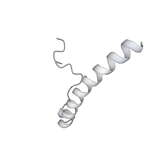 15577_8apo_Yb_v1-1
Structure of the mitochondrial ribosome from Polytomella magna with tRNAs bound to the A and P sites