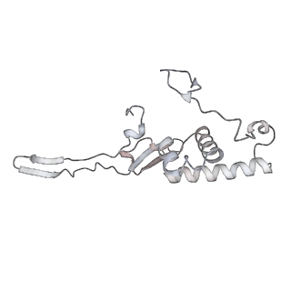 15577_8apo_Yc_v1-1
Structure of the mitochondrial ribosome from Polytomella magna with tRNAs bound to the A and P sites