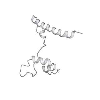 15577_8apo_Yd_v1-1
Structure of the mitochondrial ribosome from Polytomella magna with tRNAs bound to the A and P sites