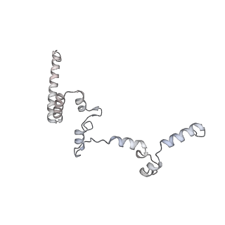 15577_8apo_Yf_v1-1
Structure of the mitochondrial ribosome from Polytomella magna with tRNAs bound to the A and P sites