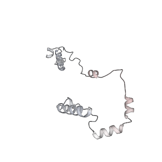15577_8apo_Yi_v1-1
Structure of the mitochondrial ribosome from Polytomella magna with tRNAs bound to the A and P sites