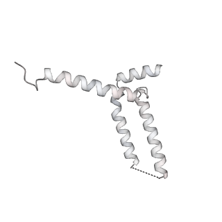 15577_8apo_Yk_v1-1
Structure of the mitochondrial ribosome from Polytomella magna with tRNAs bound to the A and P sites
