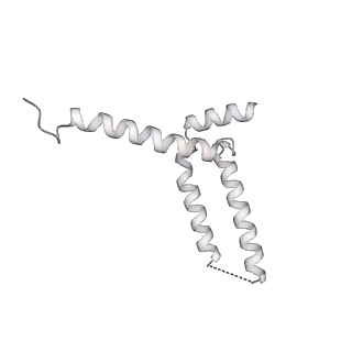 15577_8apo_Yk_v2-0
Structure of the mitochondrial ribosome from Polytomella magna with tRNAs bound to the A and P sites