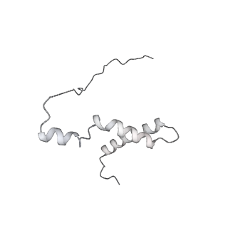 15577_8apo_Yl_v1-1
Structure of the mitochondrial ribosome from Polytomella magna with tRNAs bound to the A and P sites
