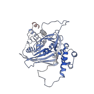 15578_8apx_B_v1-0
CryoEM structure of the Chikungunya virus nsP1 capping pores in covalent complex with a 7GMP cap structure