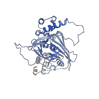 15578_8apx_F_v1-0
CryoEM structure of the Chikungunya virus nsP1 capping pores in covalent complex with a 7GMP cap structure