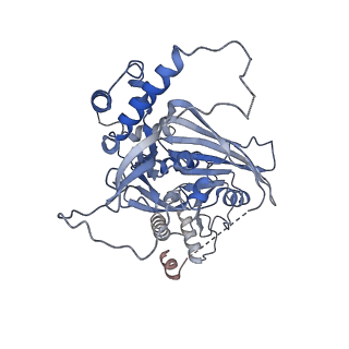 15578_8apx_G_v1-0
CryoEM structure of the Chikungunya virus nsP1 capping pores in covalent complex with a 7GMP cap structure