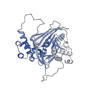 15578_8apx_I_v1-0
CryoEM structure of the Chikungunya virus nsP1 capping pores in covalent complex with a 7GMP cap structure