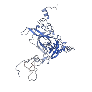 3151_5apo_B_v1-4
Structure of the yeast 60S ribosomal subunit in complex with Arx1, Alb1 and C-terminally tagged Rei1
