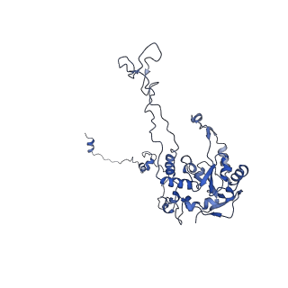 3151_5apo_C_v1-4
Structure of the yeast 60S ribosomal subunit in complex with Arx1, Alb1 and C-terminally tagged Rei1