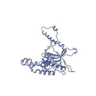 3151_5apo_D_v1-4
Structure of the yeast 60S ribosomal subunit in complex with Arx1, Alb1 and C-terminally tagged Rei1