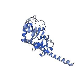 3151_5apo_F_v1-4
Structure of the yeast 60S ribosomal subunit in complex with Arx1, Alb1 and C-terminally tagged Rei1